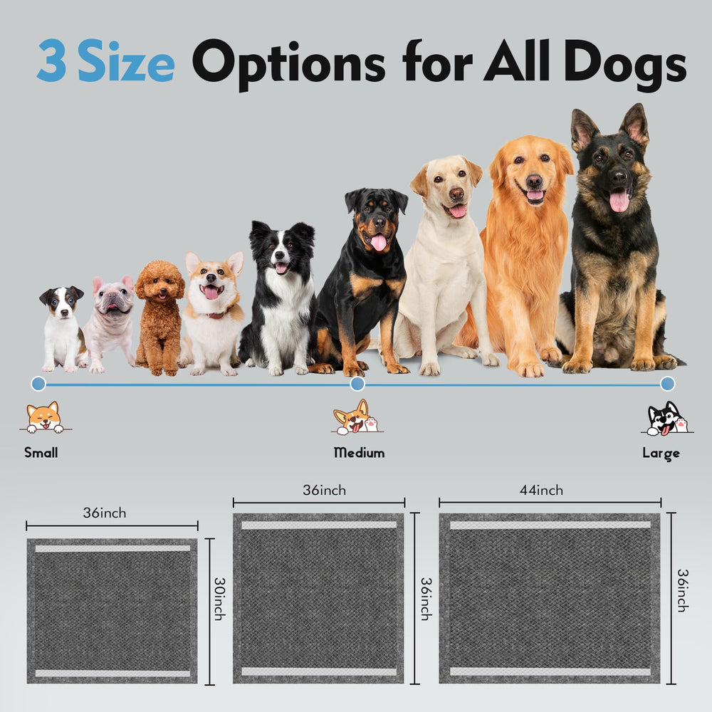 SCLOSE Charcoal Pads in-use setup for large dogs.