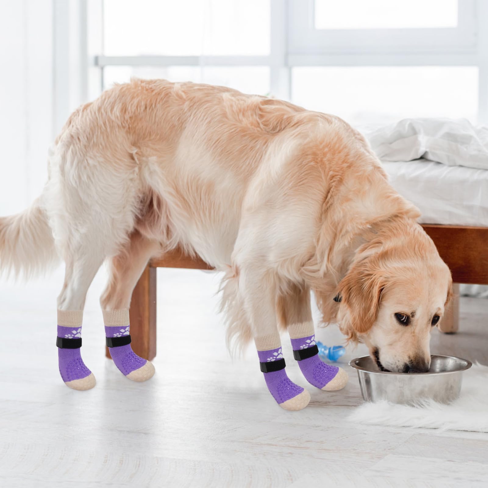 SCENEREAL anti-slip dog socks pack of six for replacement options