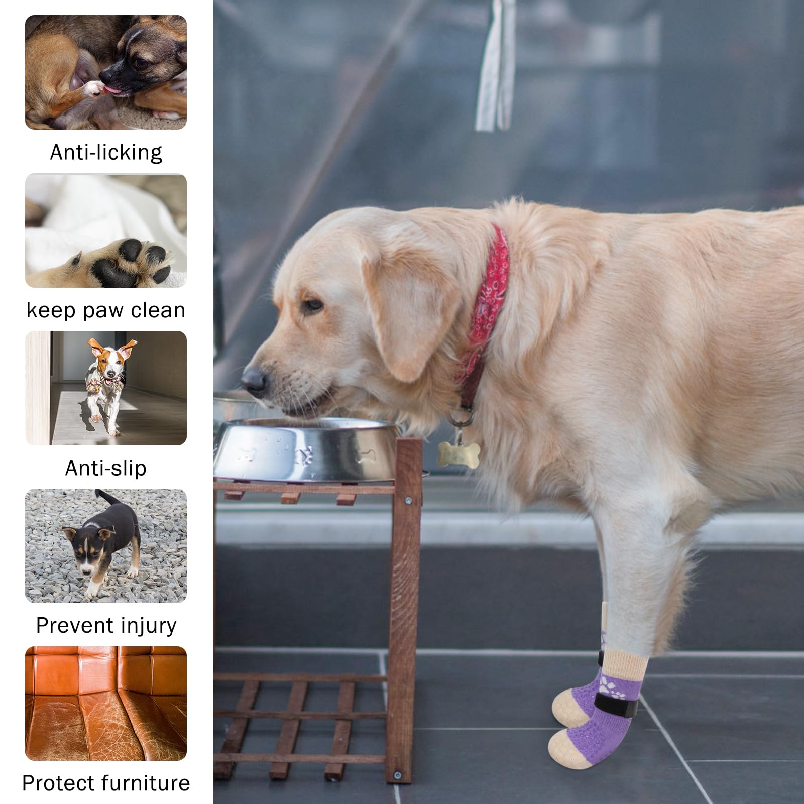 SCENEREAL anti-slip dog socks protecting paws on hot pavement outdoors