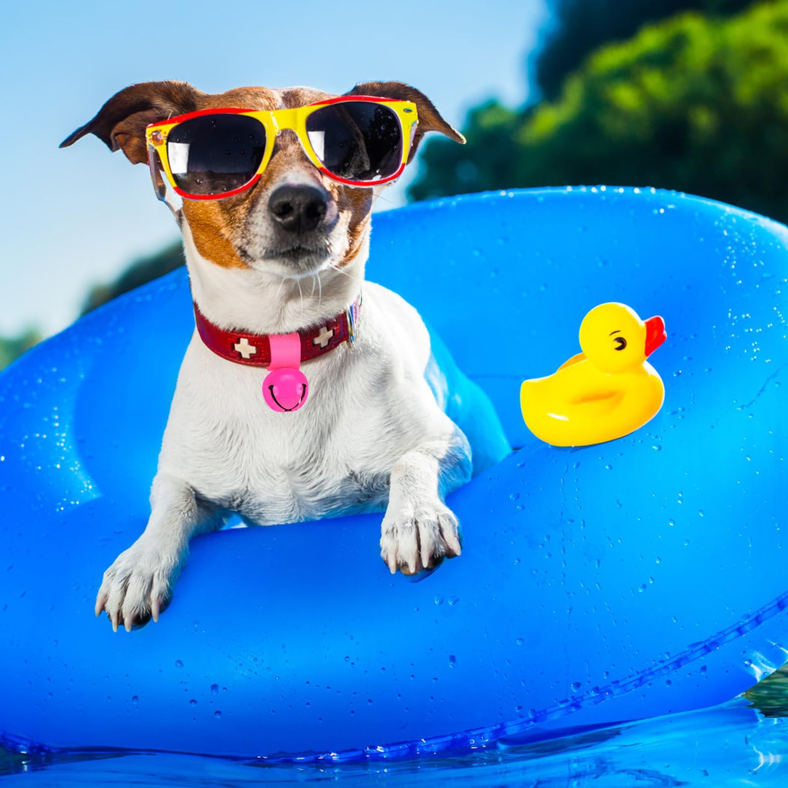 SCENEREAL bell color variety display showcases options for occasions.