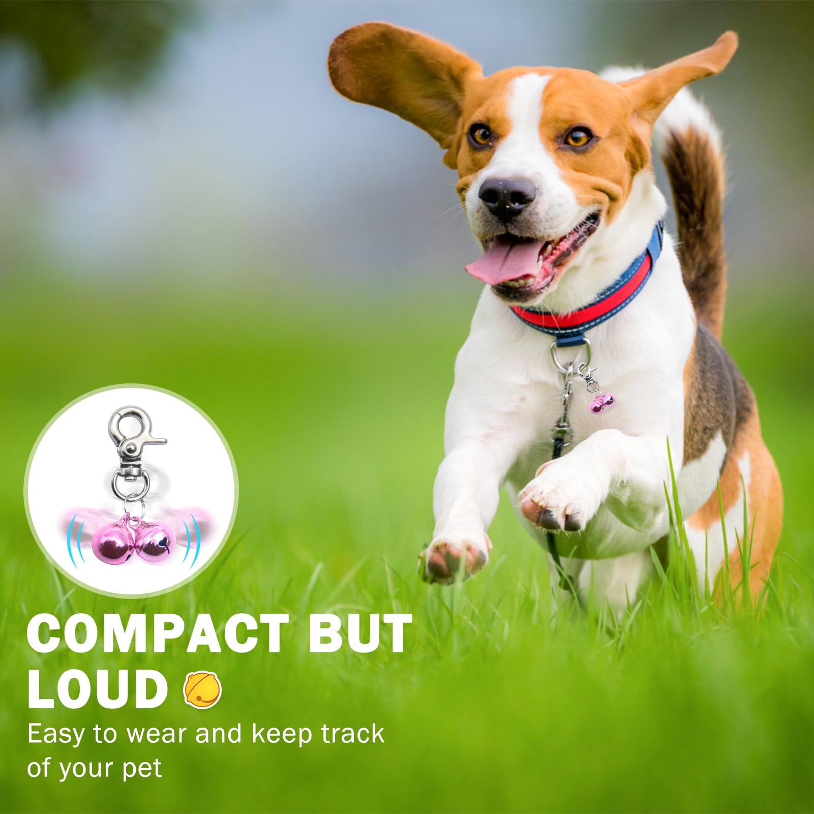 SCENEREAL bells on different-sized D-rings show versatile fit for cats and dogs.