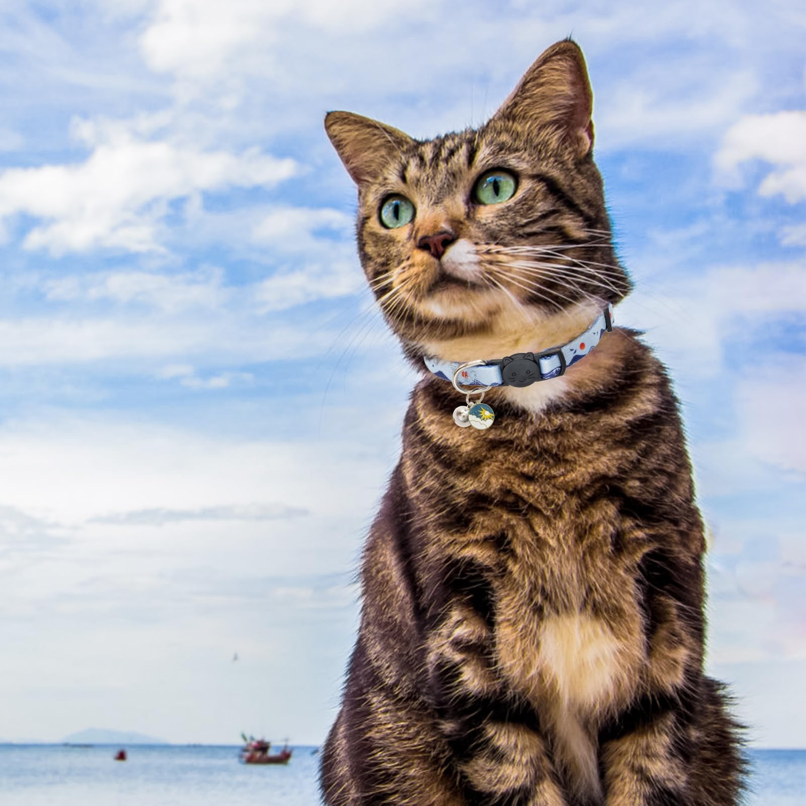 SCENEREAL Breakaway Cat Collar pack-3 highlights multiple patterns for variety.