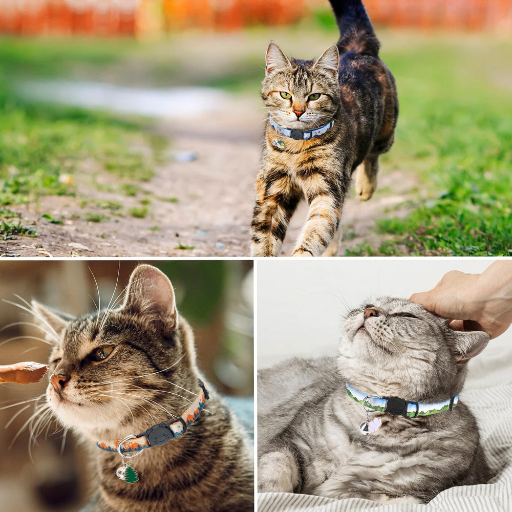 SCENEREAL Breakaway Cat Collar safety buckle provides quick release feature.