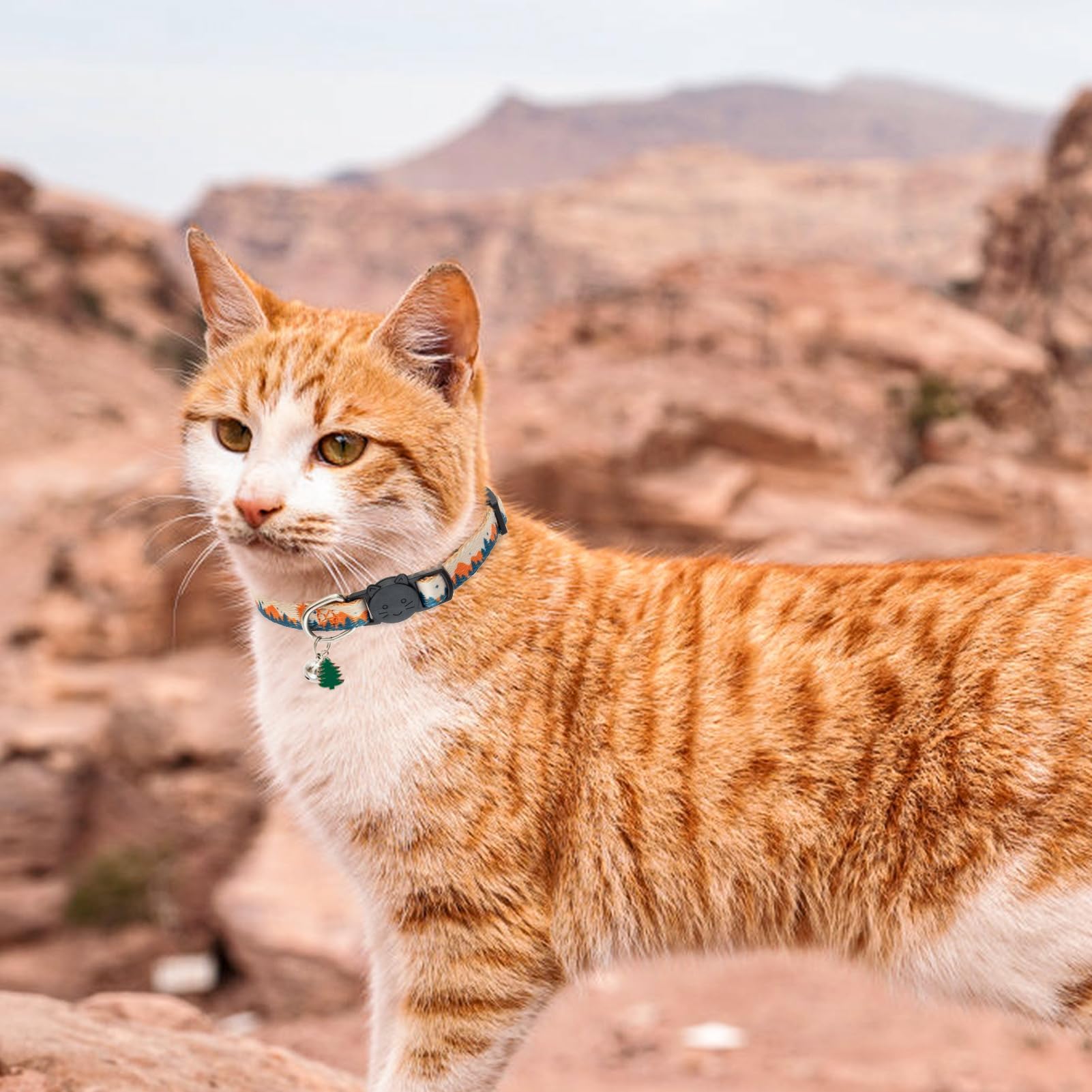 SCENEREAL Breakaway Cat Collar soft polyester fabric stays comfortable on skin.