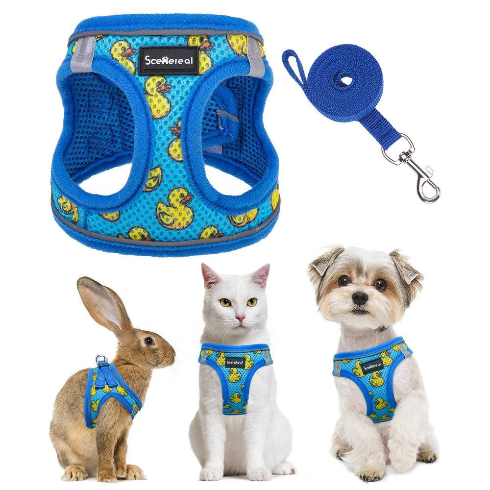 SCENEREAL cat harness worn on a kitten showing escape-proof outdoor confidence