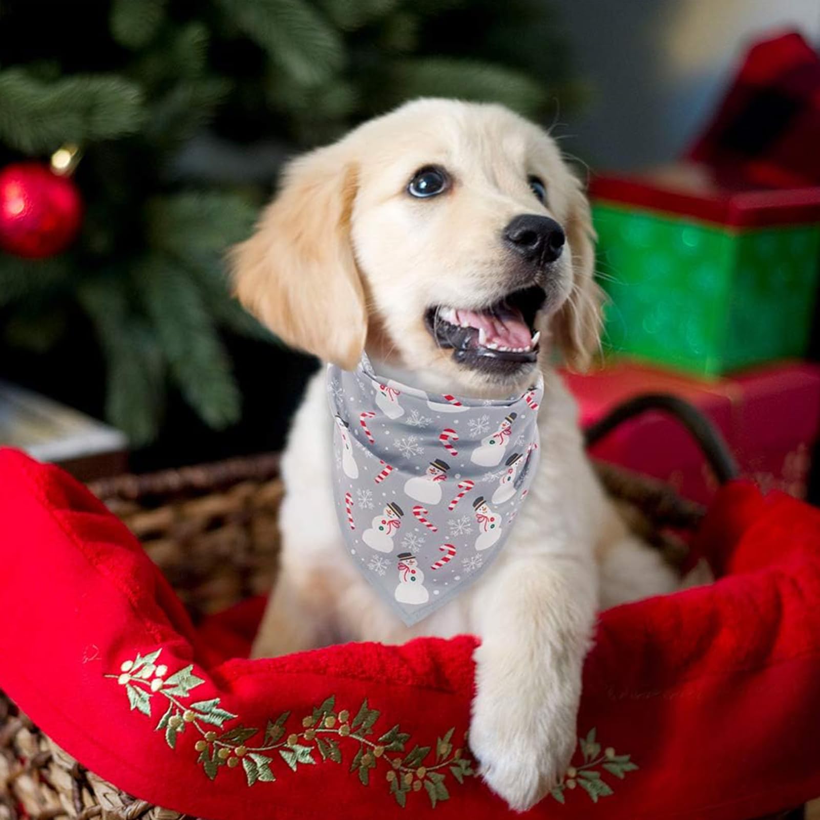 SCENEREAL Christmas dog bandana four-pack ready for rotating pet outfits.