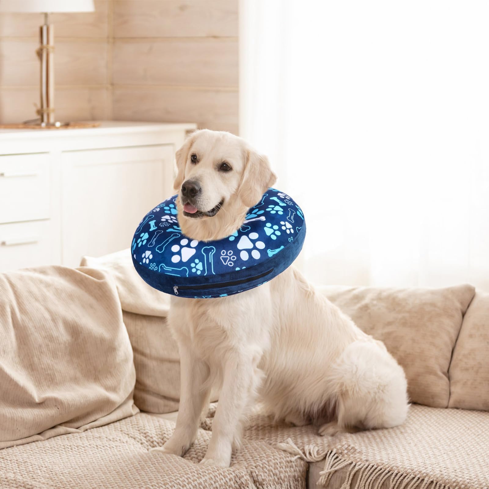 SCENEREAL collar-dona-en-casa: perfecto para uso diario.