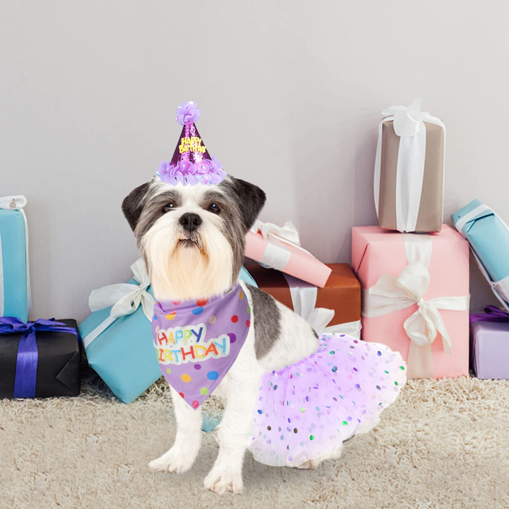 SCENEREAL complete birthday set helps create magical results in celebrations