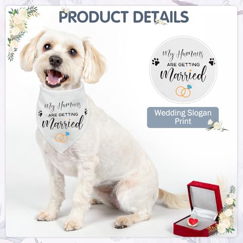 SCENEREAL veil with diamonds creates an elegant, camera-ready silhouette.