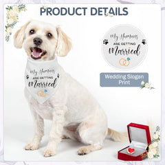 SCENEREAL veil with diamonds creates an elegant, camera-ready silhouette.