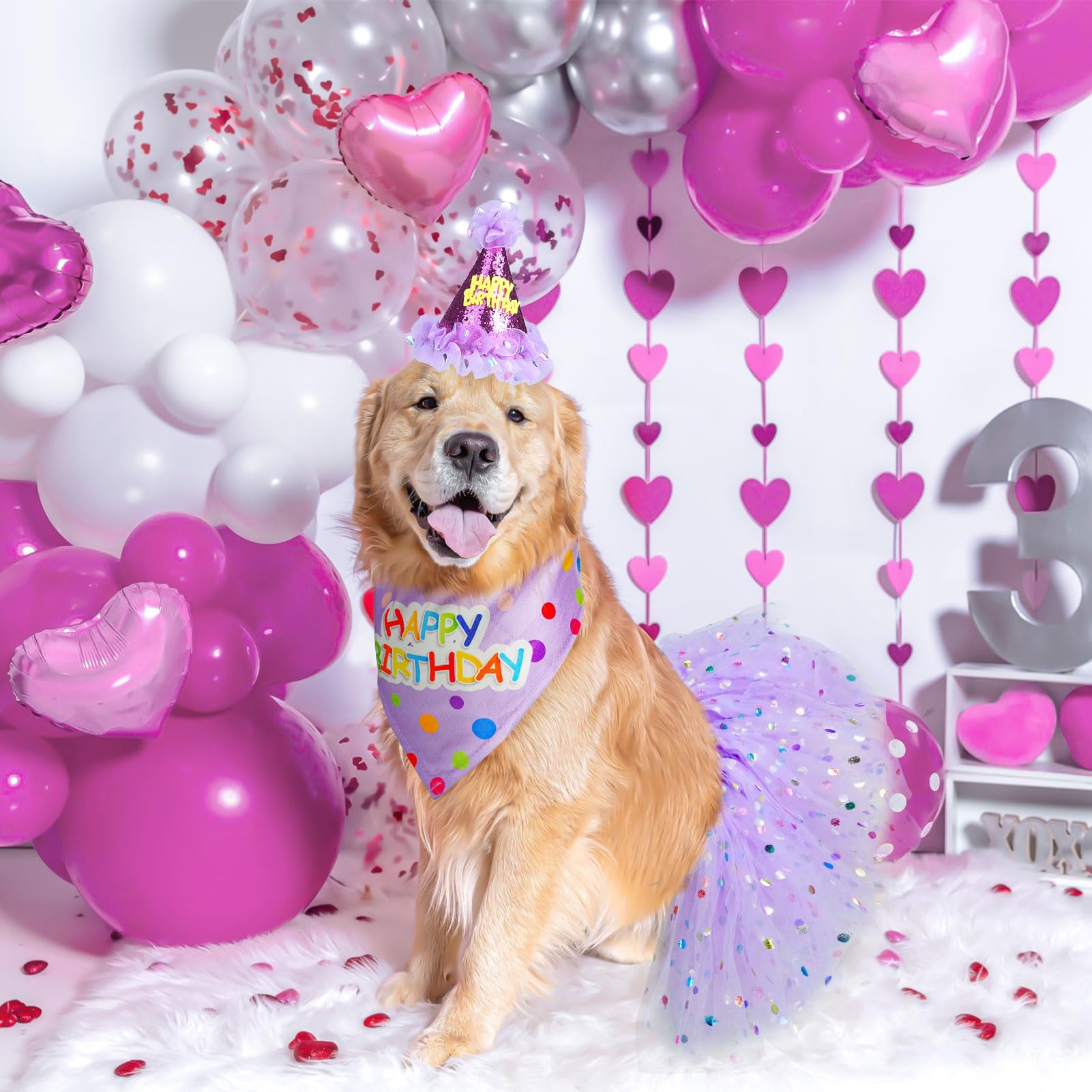SCENEREAL dog birthday hat with adjustable buckle showing secure fit during celebration
