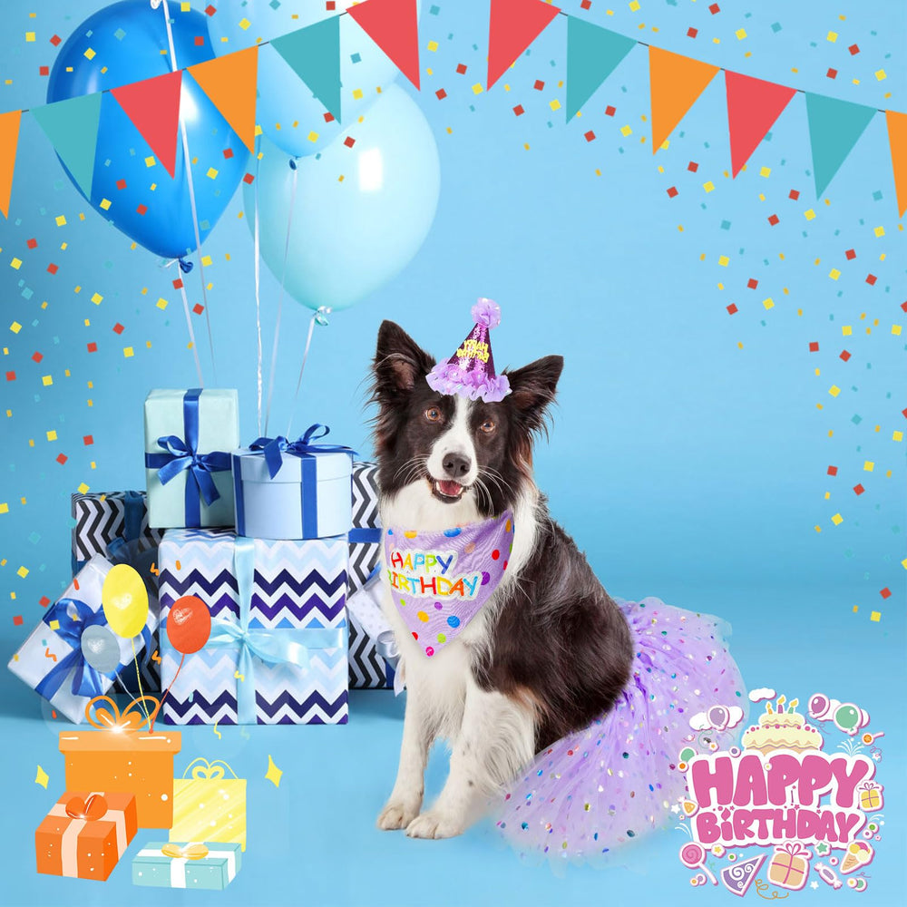 SCENEREAL girl dog wearing birthday outfit for joyful celebration memories
