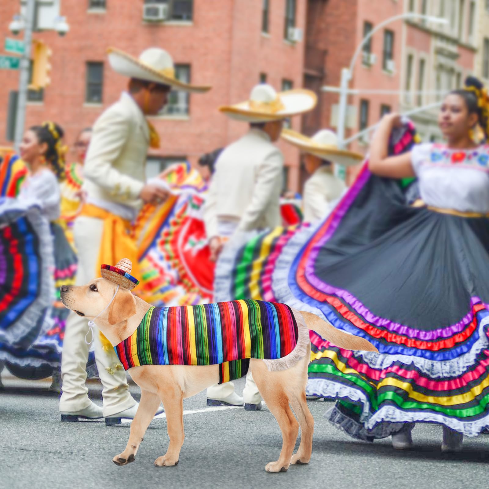 SCENEREAL dog costume photo-ready look with vibrant colors for social media.