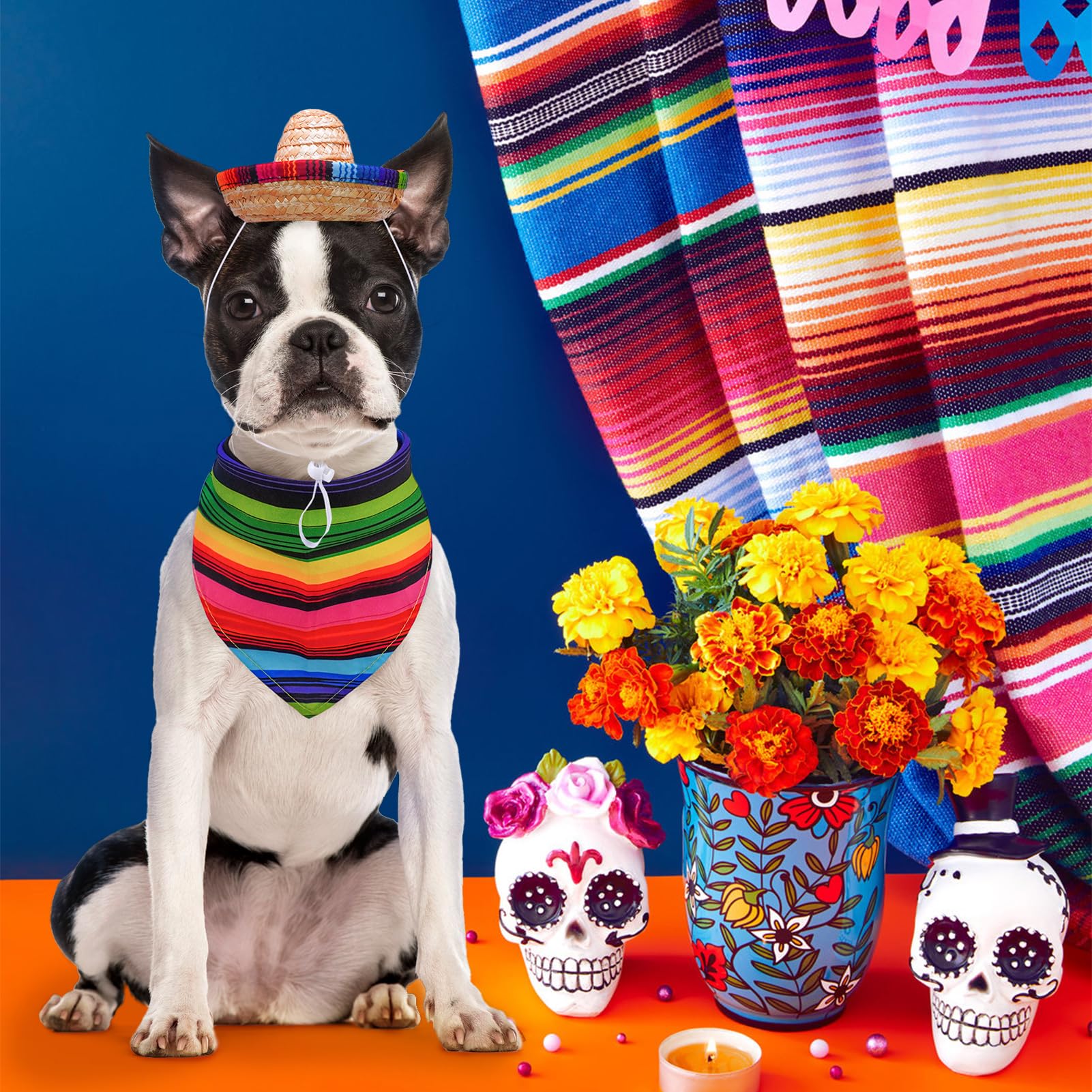 SCENEREAL dog costume size XS ensures a snug fit for small dogs.
