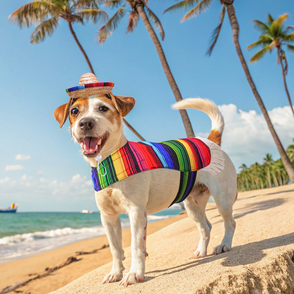 SCENEREAL dog costume sombrero hat adds cheerful flair for events and parties.