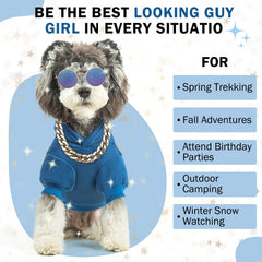 SCENEREAL dog hoodie blue back view with hat showcases cozy warmth for cold walks