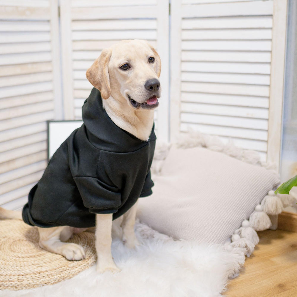 SCENEREAL dog hoodie ribbed cuffs and hem lock in warmth.