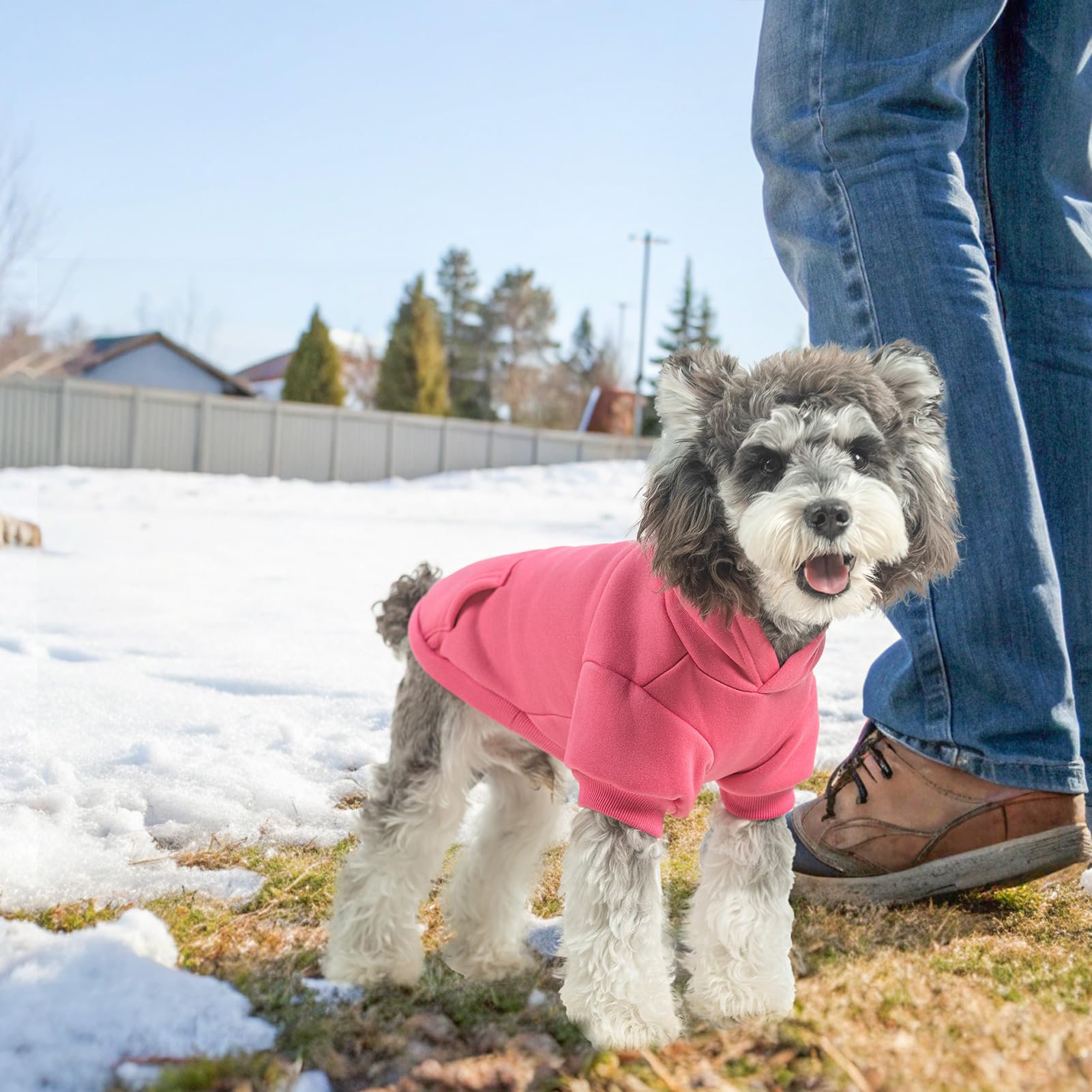 SCENEREAL dog hoodie machine washable label guarantees easy care after outings