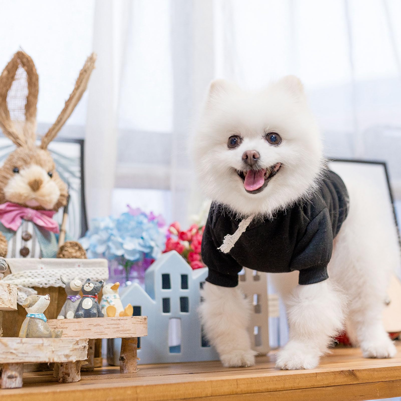SCENEREAL dog hoodie care and machine washable design.