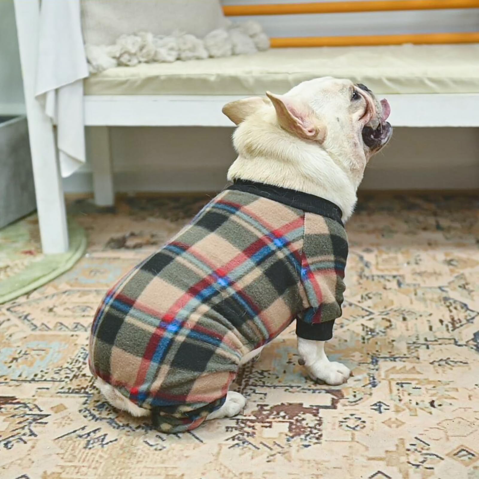 SCENEREAL warm all-over coverage keeps pets comfortable