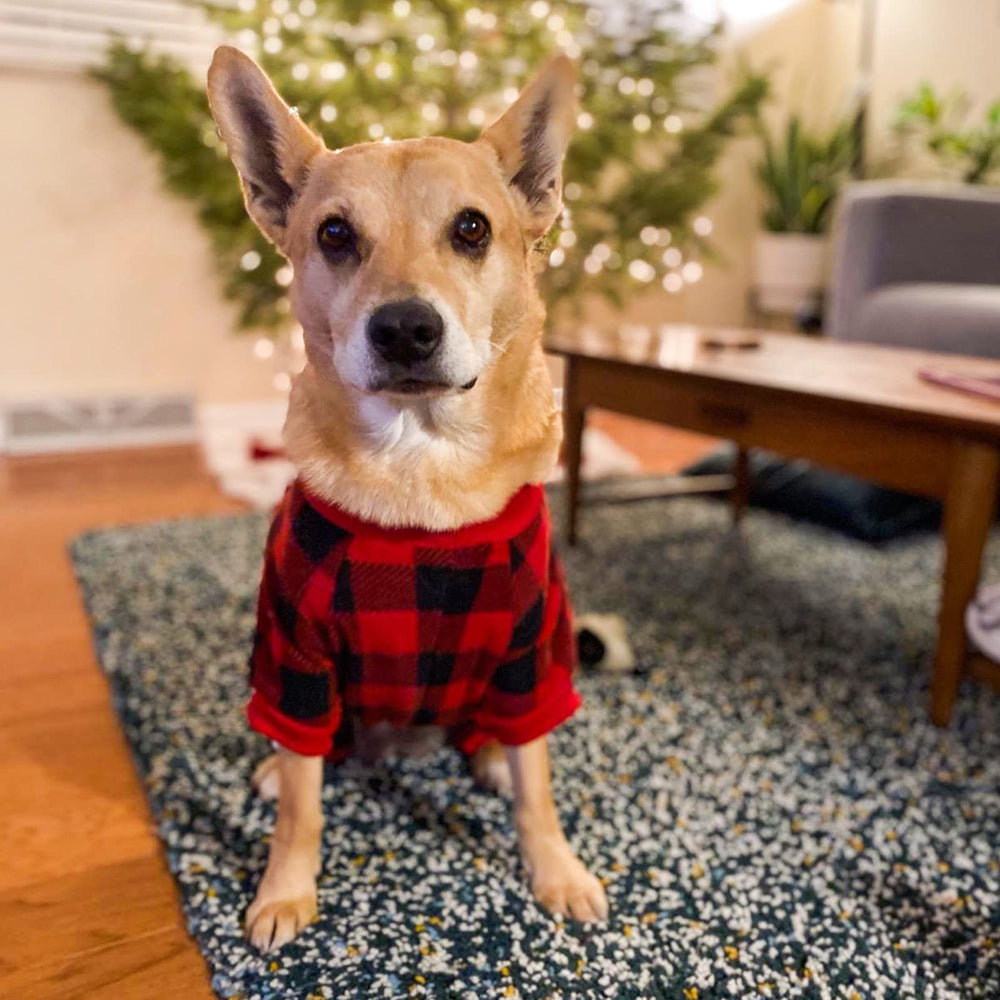 SCENEREAL Dog Pajamas in a checkered pattern ideal for festive Christmas photos.