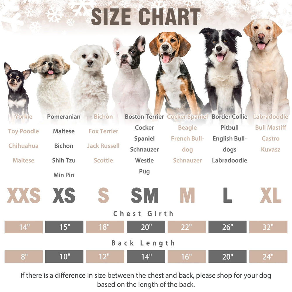 SCENEREAL checkered dog onesie adds cute holiday style