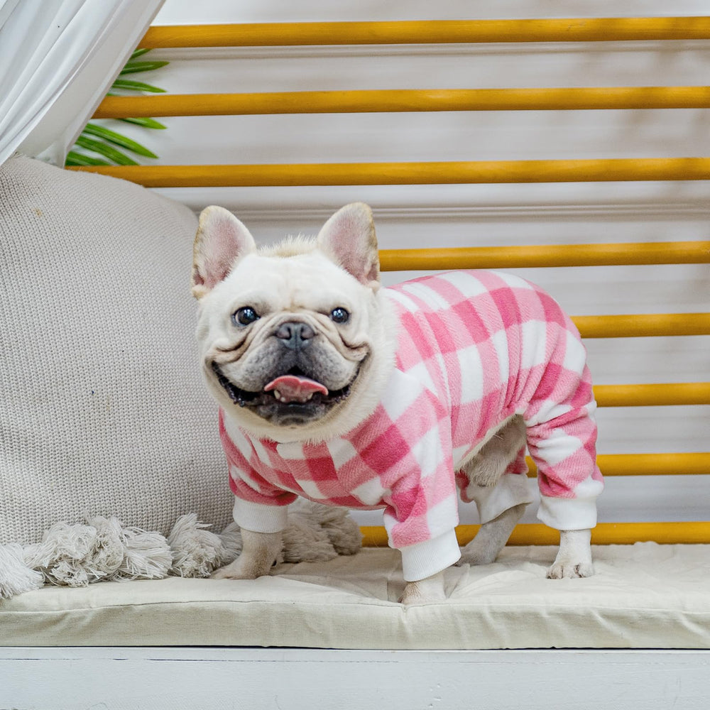 SCENEREAL dog pajamas christmas-theme festive photos ready.