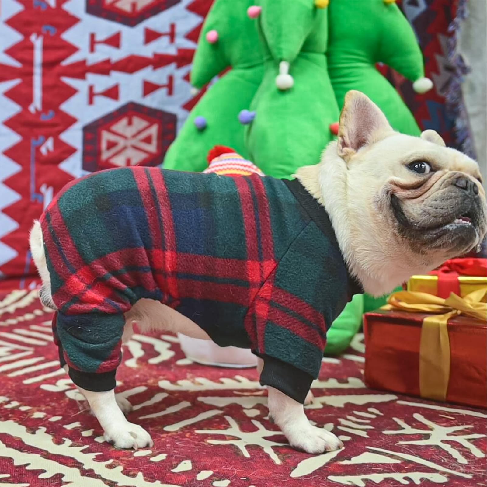 SCENEREAL dog pajamas ideal for daily wear and chilly walks.