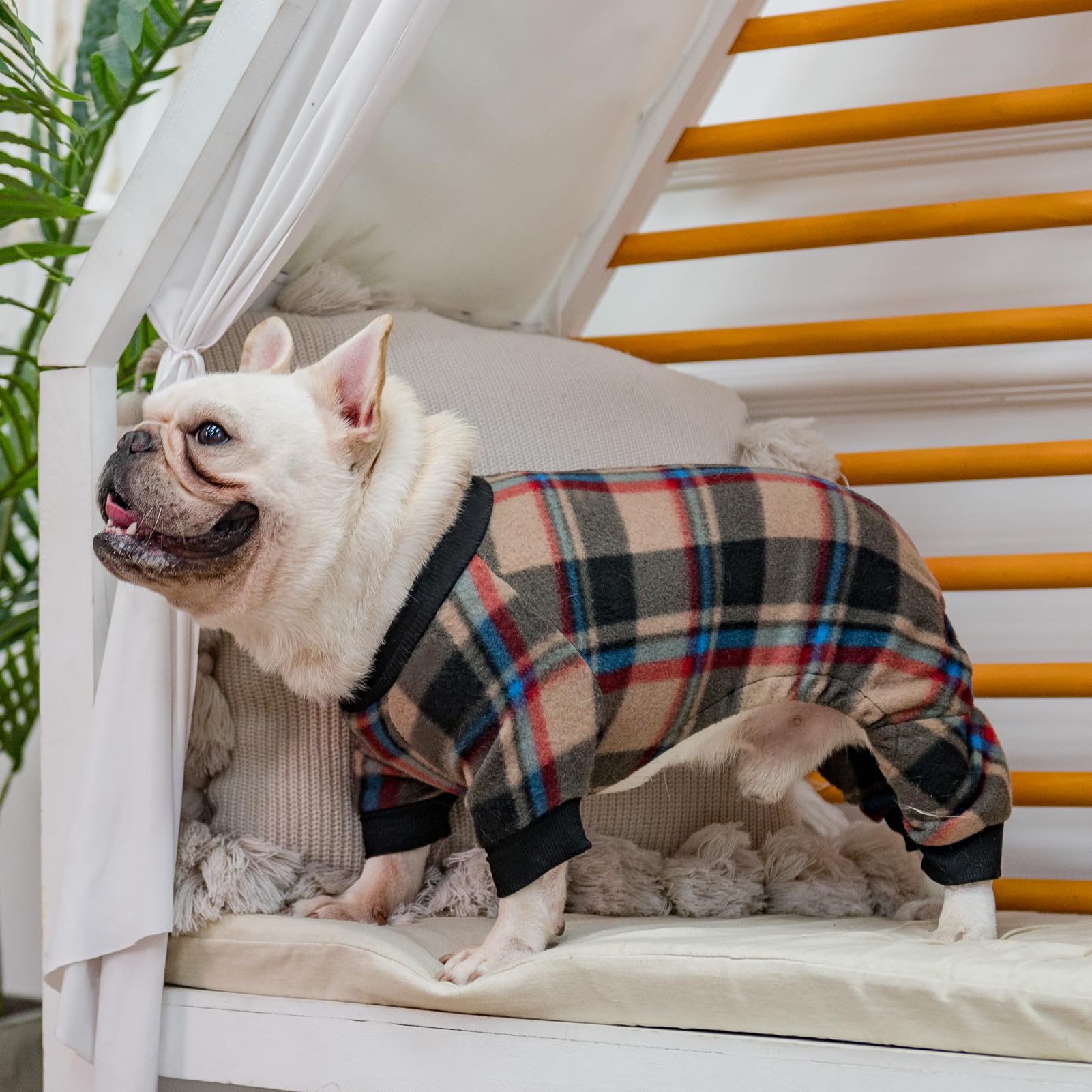 SCENEREAL small-dog pajamas suitable for daily wear