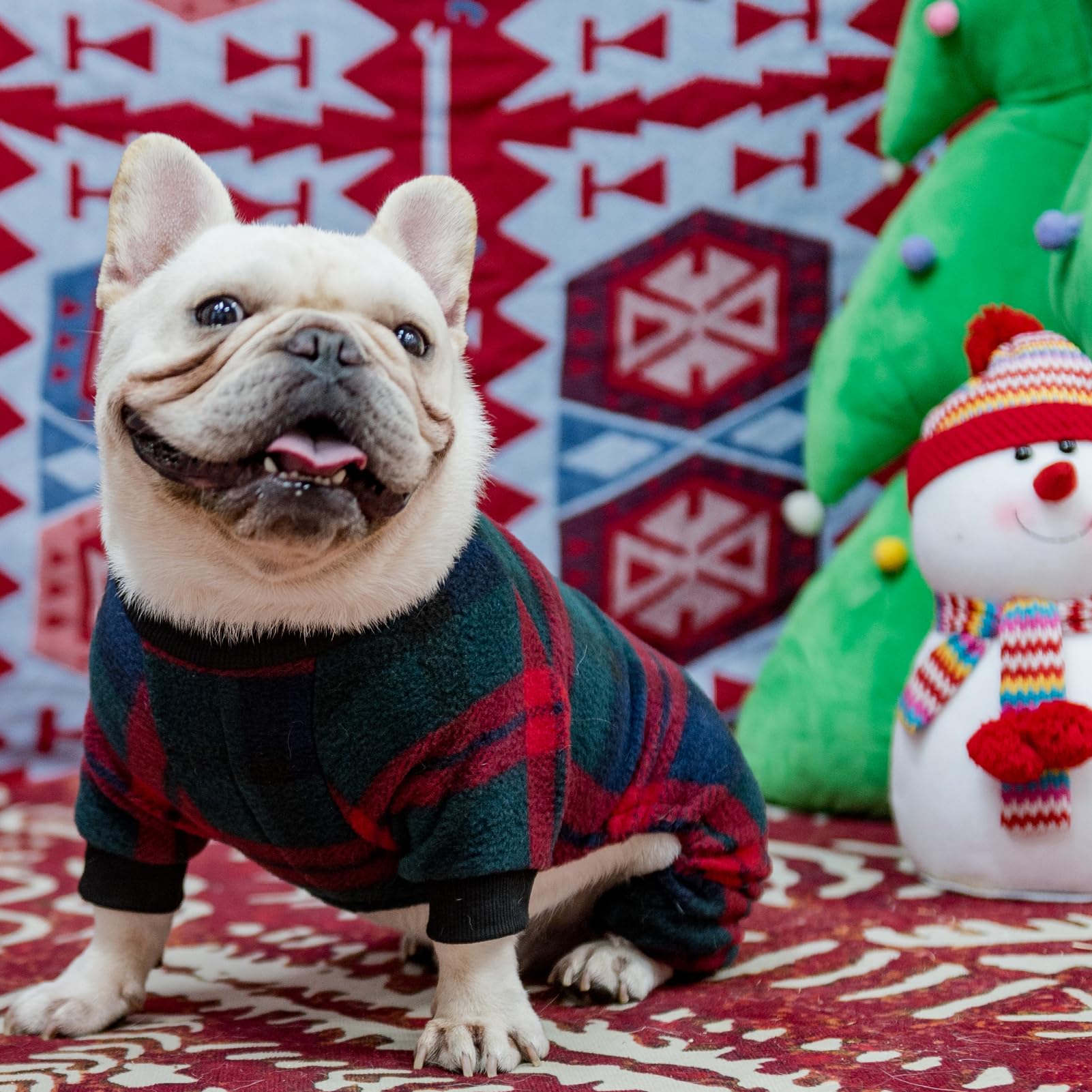 SCENEREAL dog pajamas used as a cute photo prop and gift idea.