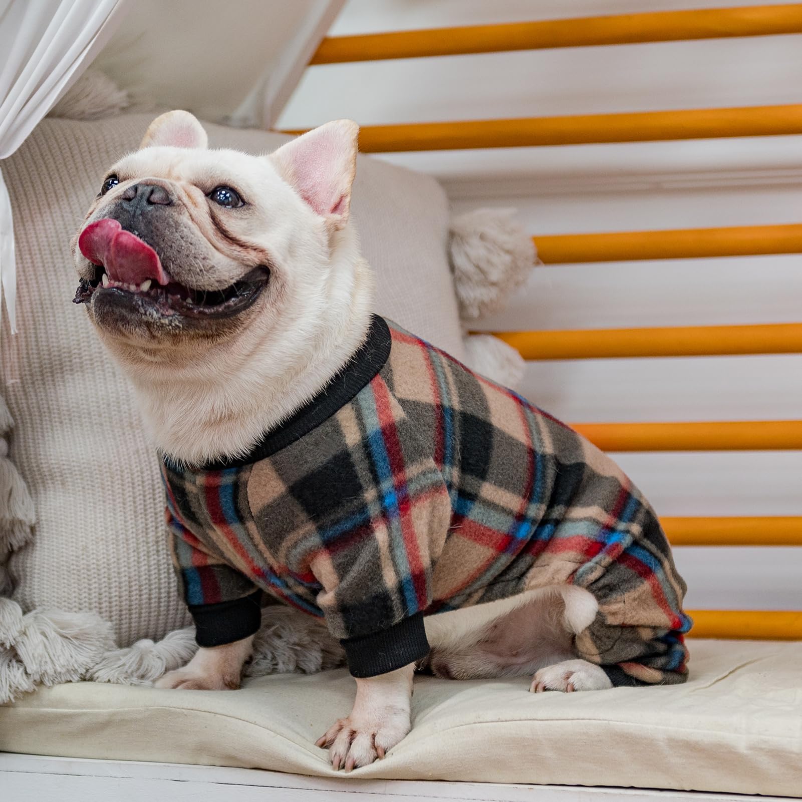 SCENEREAL machine-washable fleece for easy pet care