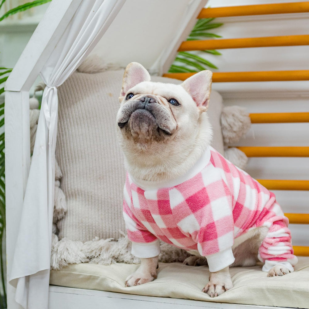 SCENEREAL dog pajamas winter-ready outfit for daily wear.