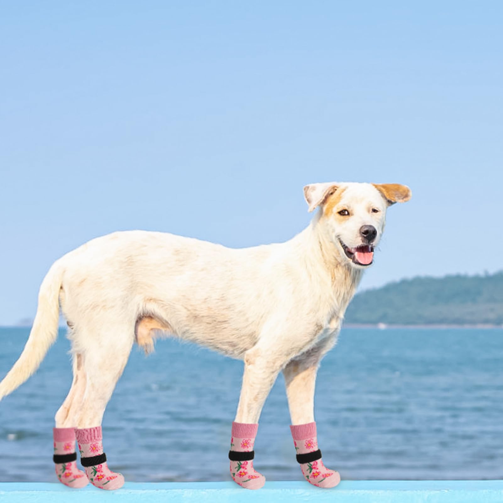 SCENEREAL indoor paw protection for small to large dogs.