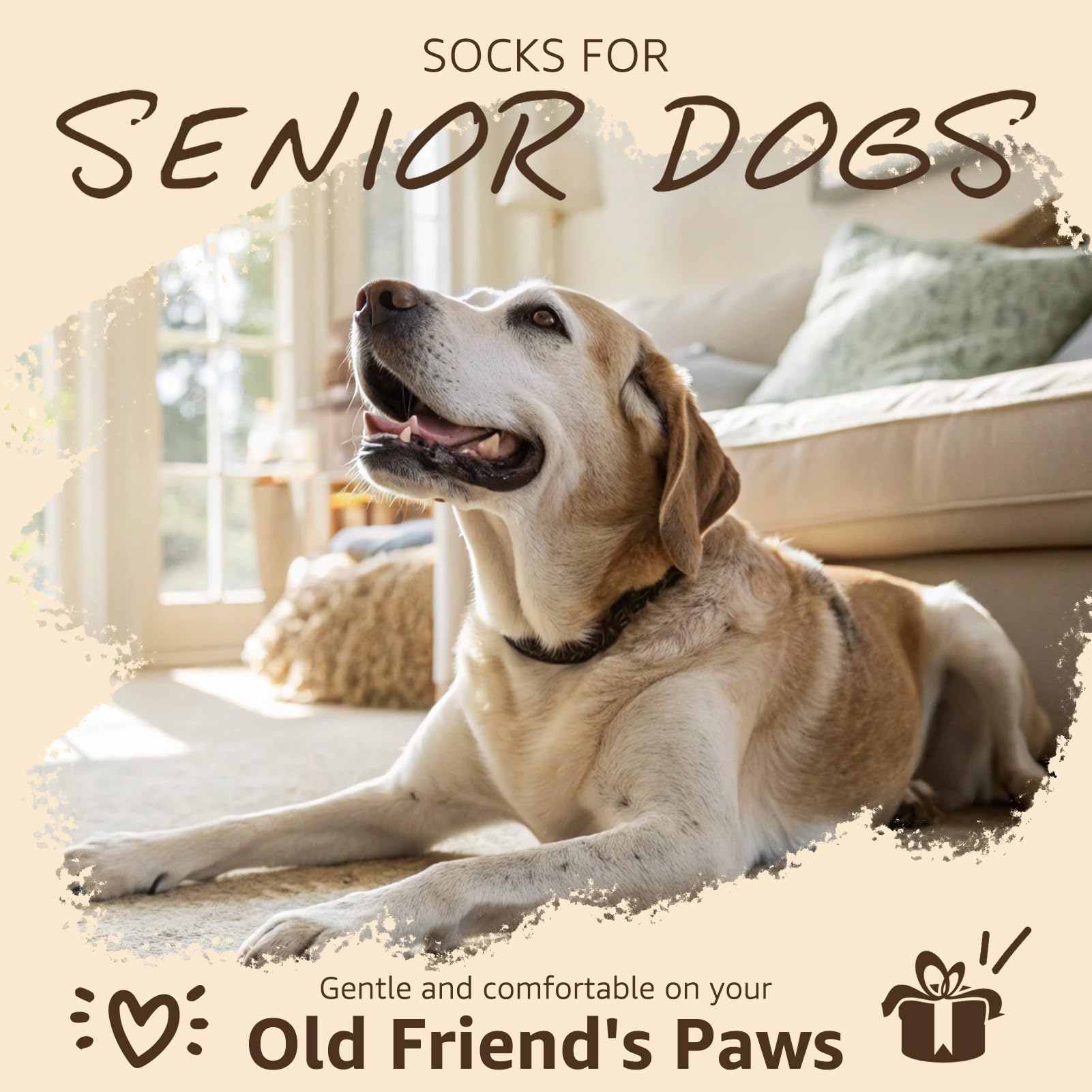 SCENEREAL dog socks used during a short outdoor walk to protect paws.