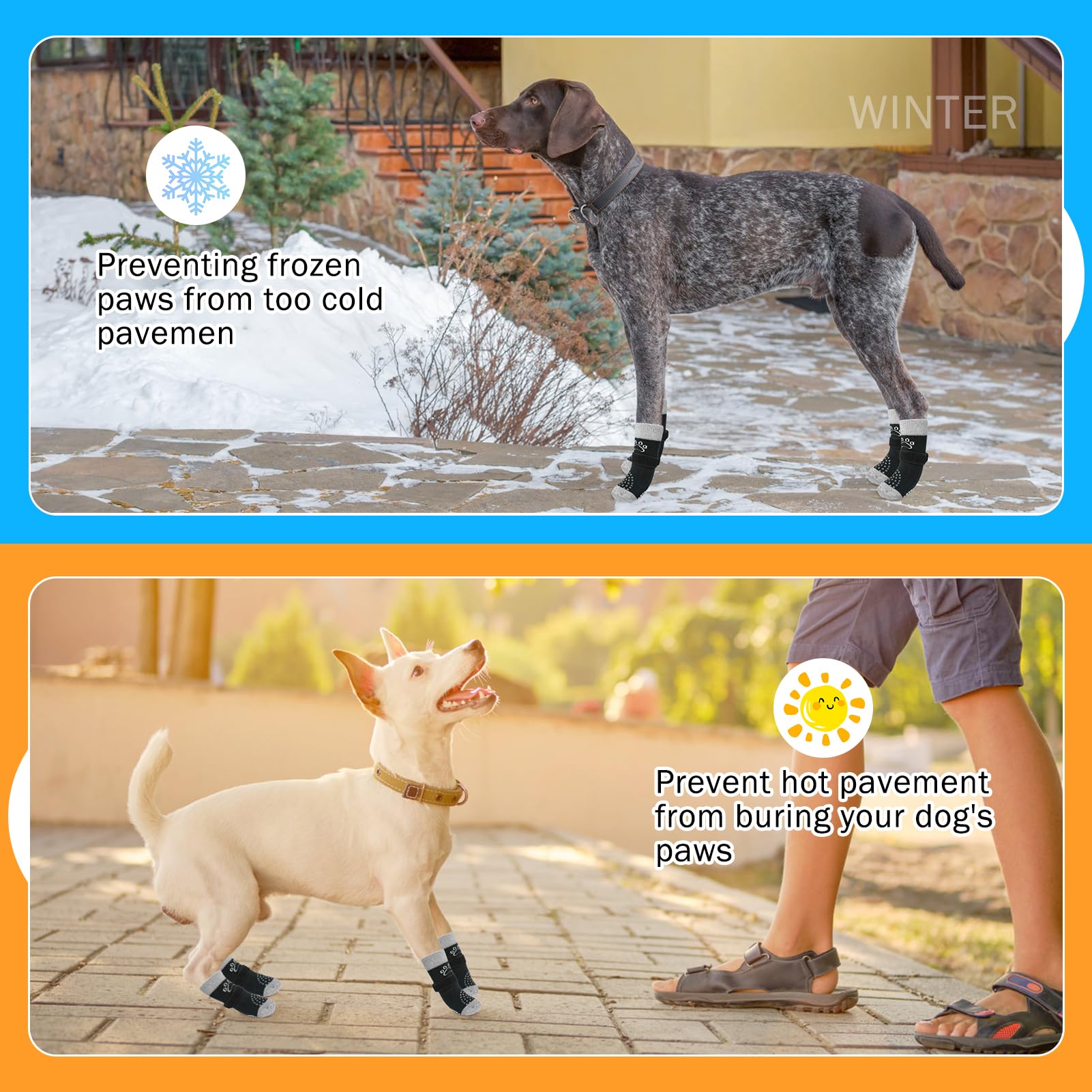 SCENEREAL dog socks stay secure during walks thanks to adjustable loops.