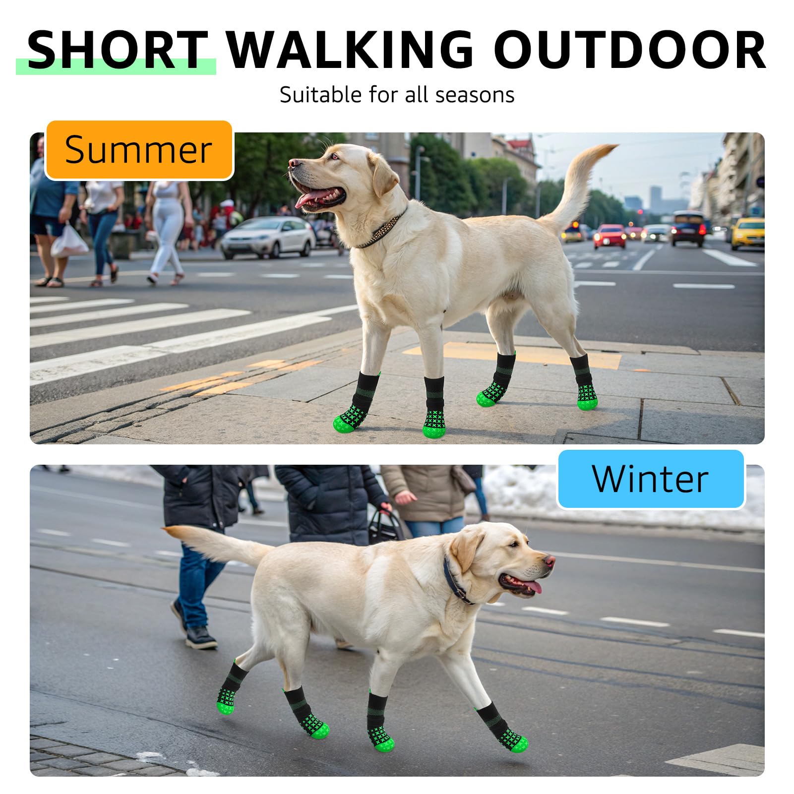 SCENEREAL size chart XS-XL for secure, paw-friendly fit.