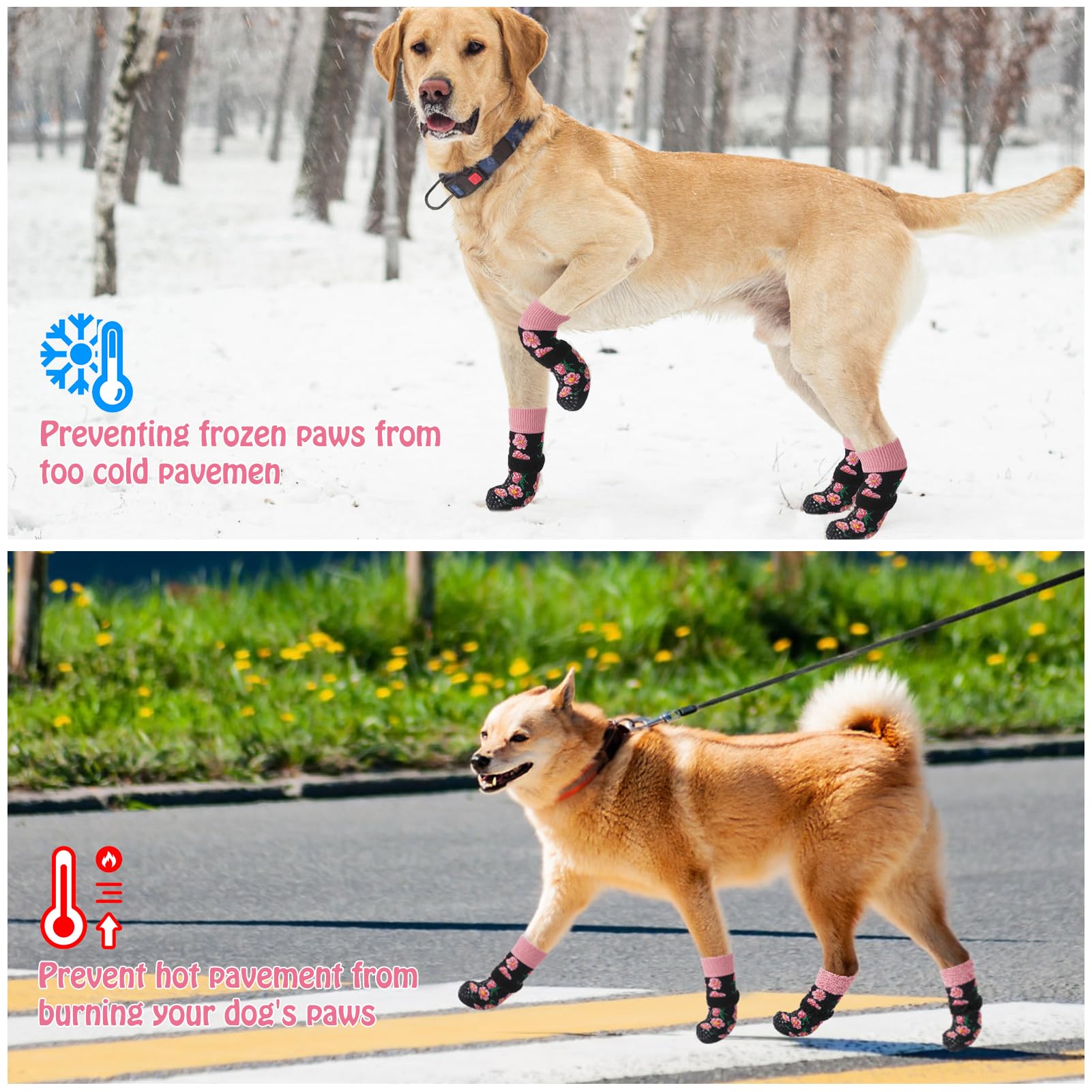 SCENEREAL size M fit with paw measurement guidance for a secure fit.