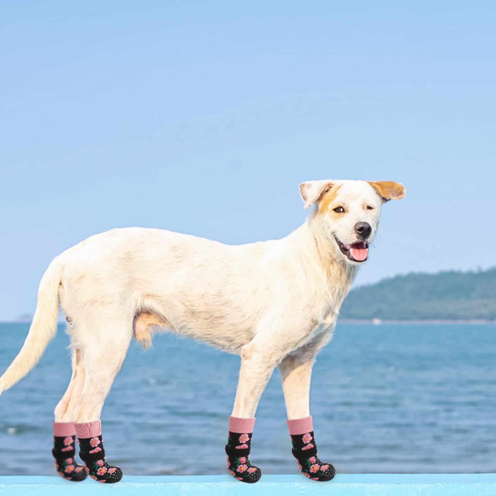 SCENEREAL winter warmth paw protection keeps paws cozy indoors during cold days.