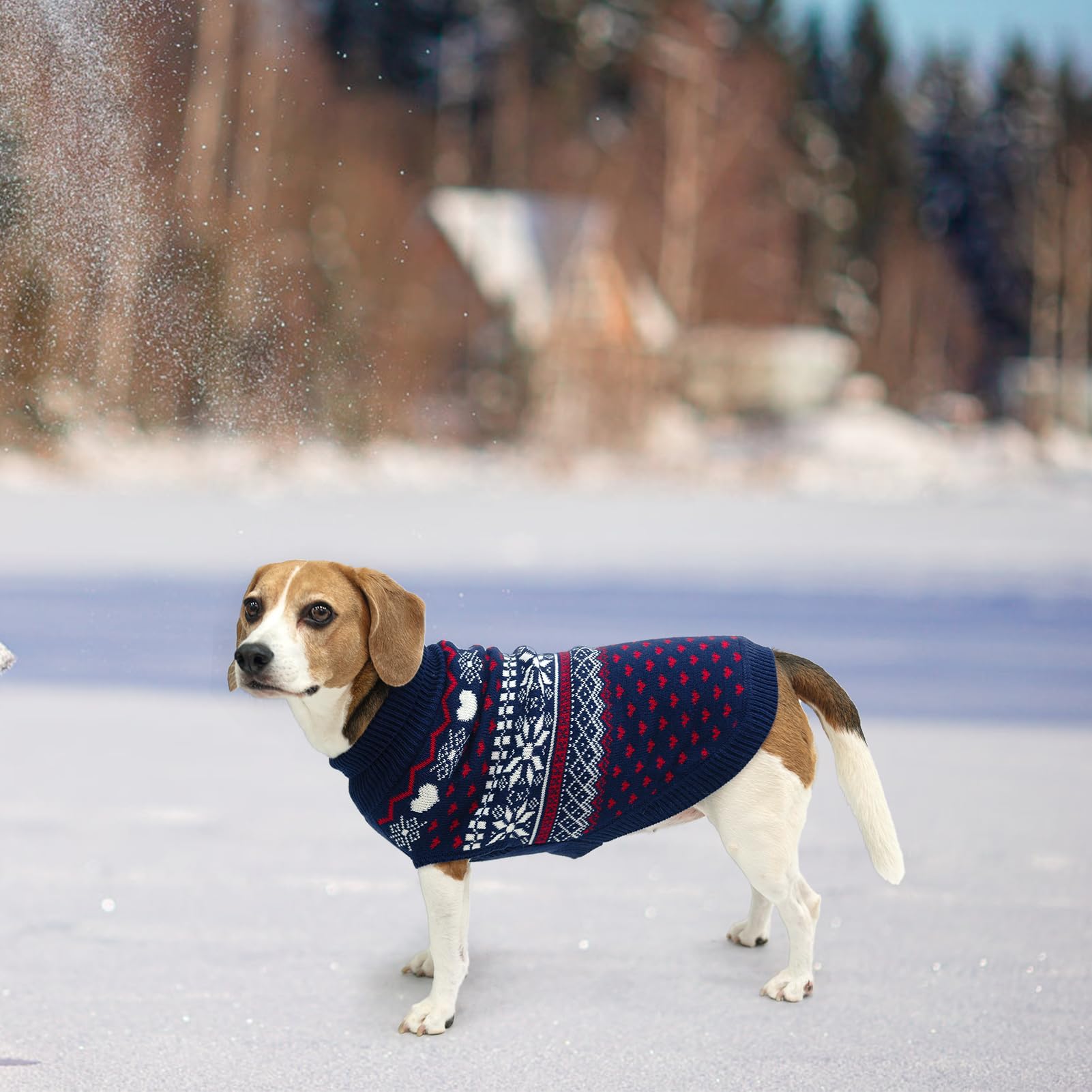 SCENEREAL dog sweater christmas-ugly-pattern conveys festive style for holidays