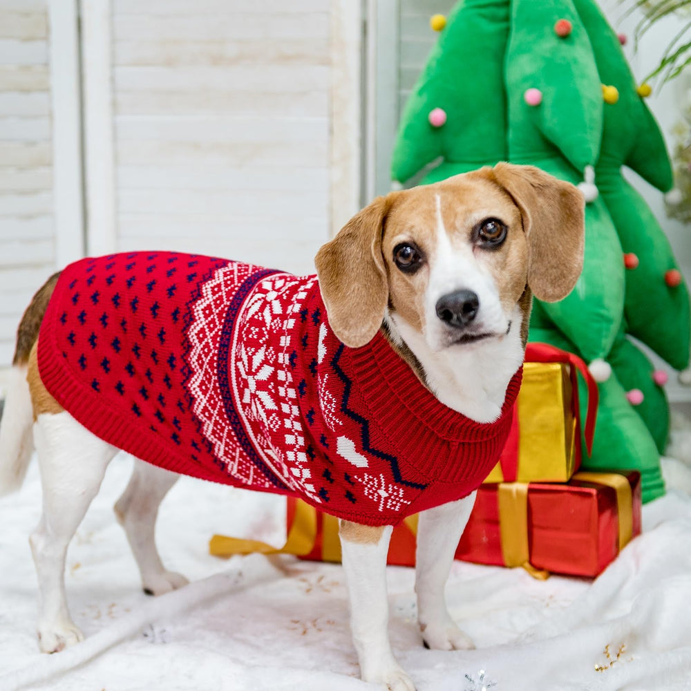 SCENEREAL dog sweater size L with measurement guide for proper fit