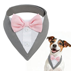 SCENEREAL dog tuxedo bandana bowtie wedding looks polished in wedding photos