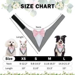 SCENEREAL dog tuxedo bandana grey-pink design enhances festive celebrations