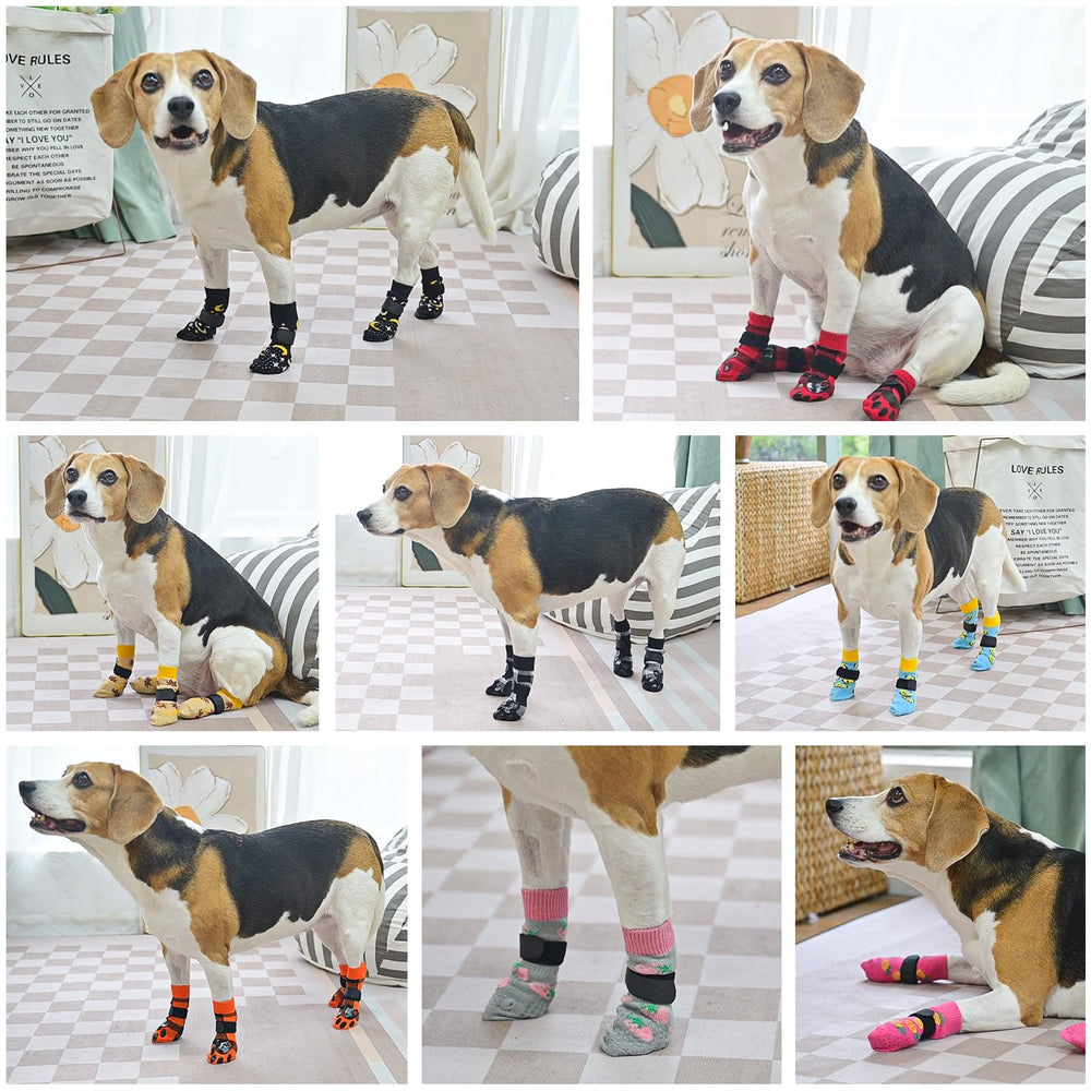 SCENEREAL playful-patterned paw socks ideal for photos, holidays, and outings.