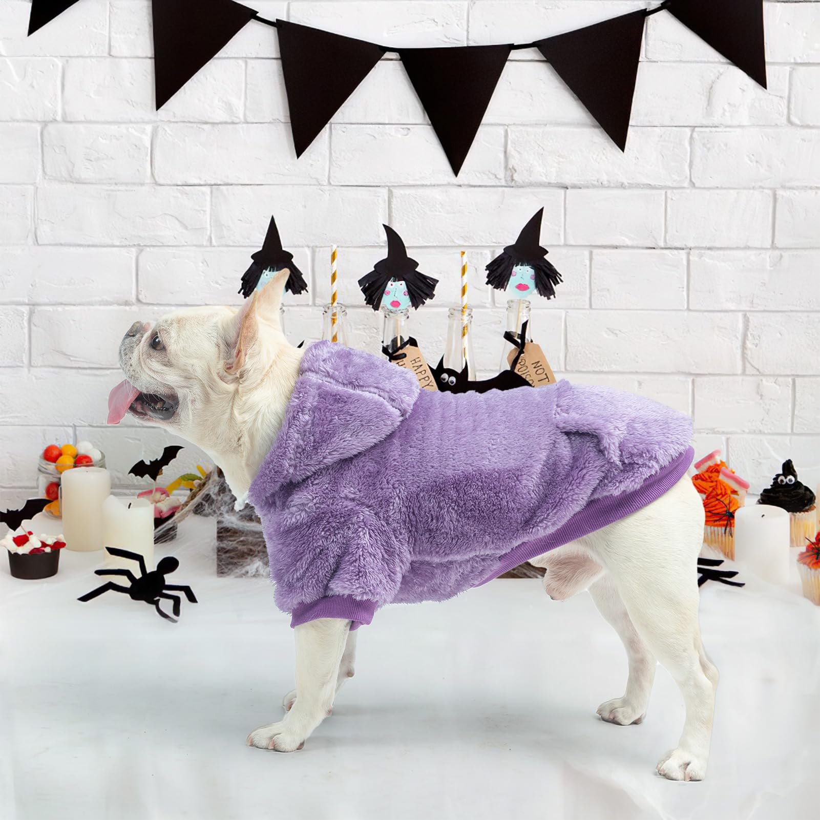 SCENEREAL fleece dog sweater hoodie care and wash guidance for cold care