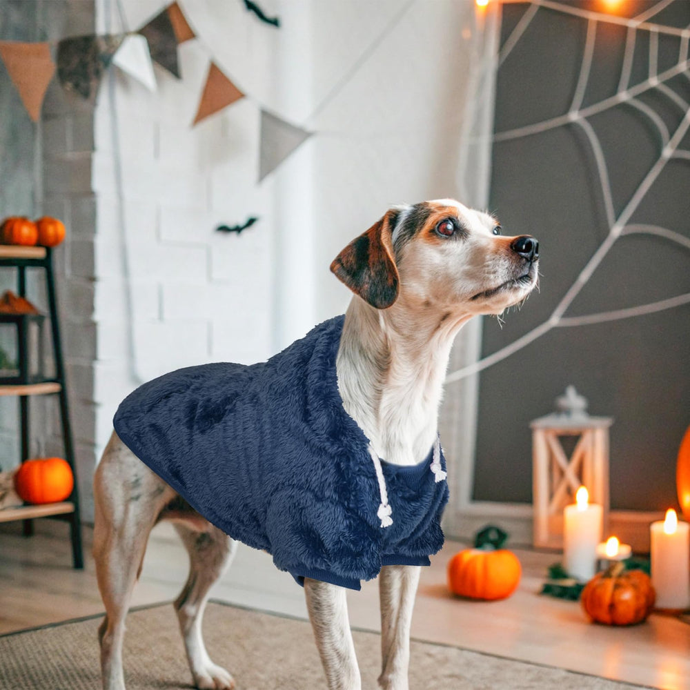 SCENEREAL hoodie close-up shows plush sherpa interior for warmth