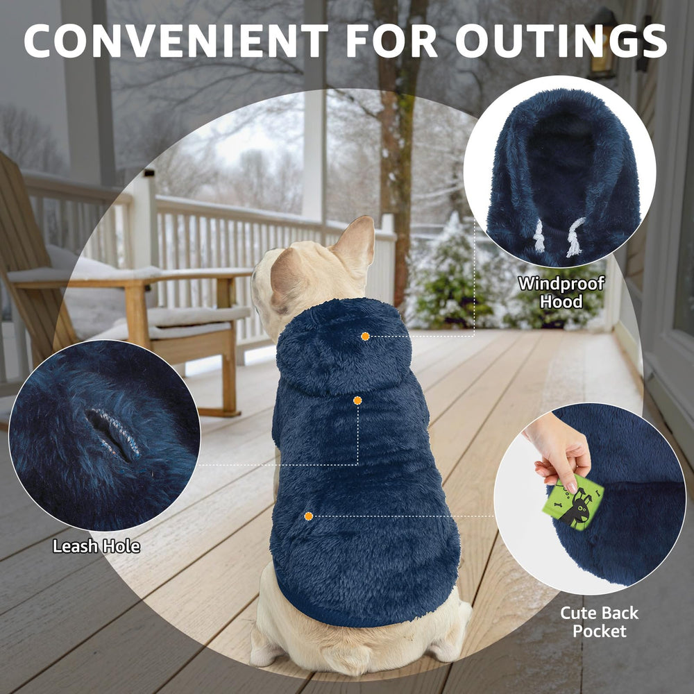 SCENEREAL hoodie pocket holds treats or toys during outings