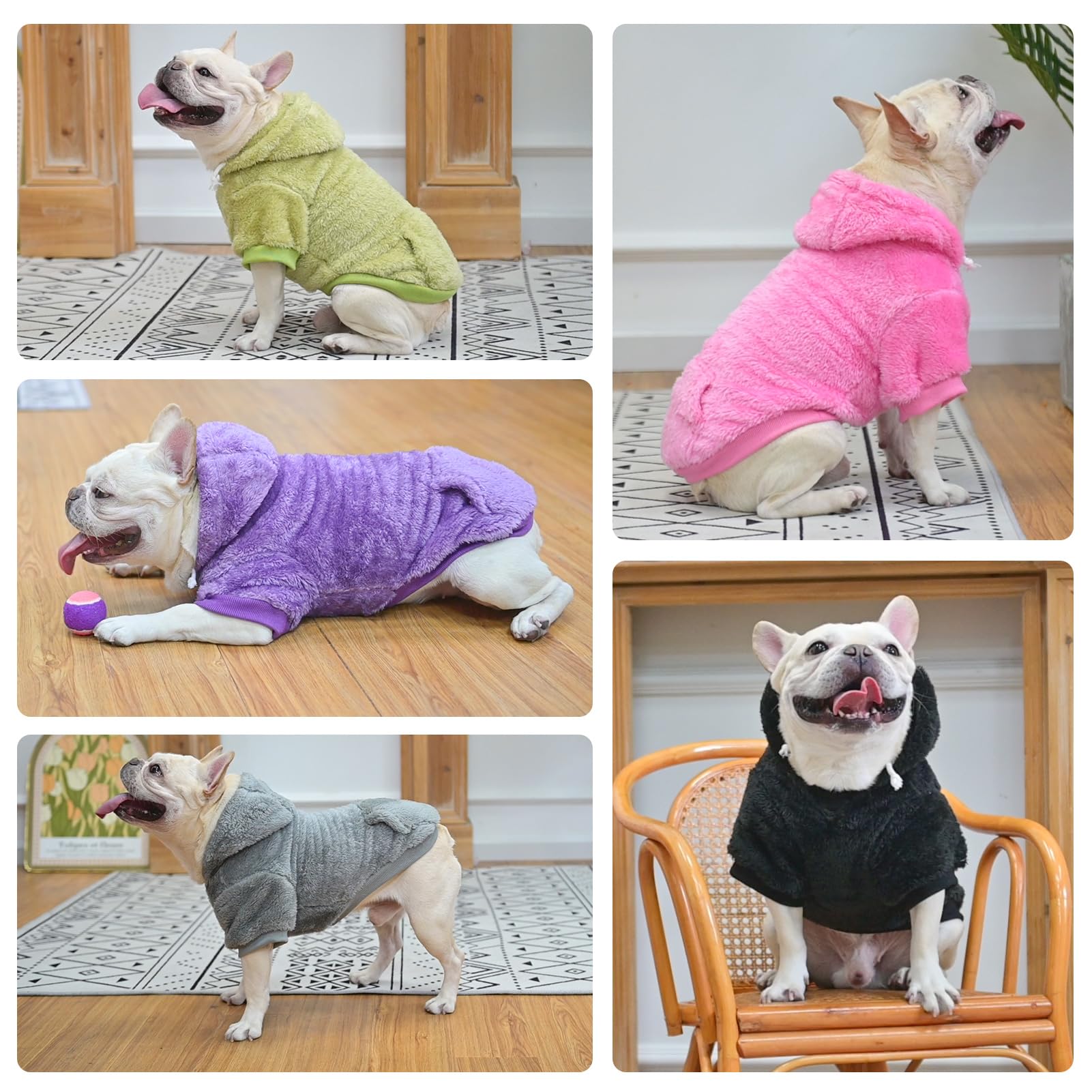 SCENEREAL pullover design makes dressing pets simple and comfy