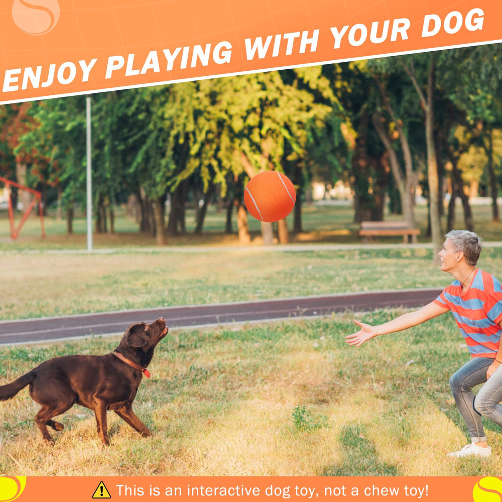 SCENEREAL 9.5-inch ball in use during dog play and training sessions.
