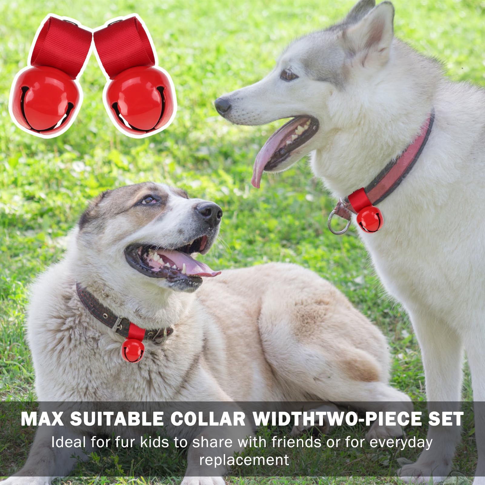 SCENEREAL color-variety dog bell pack for seasonal outfits and quick identification.
