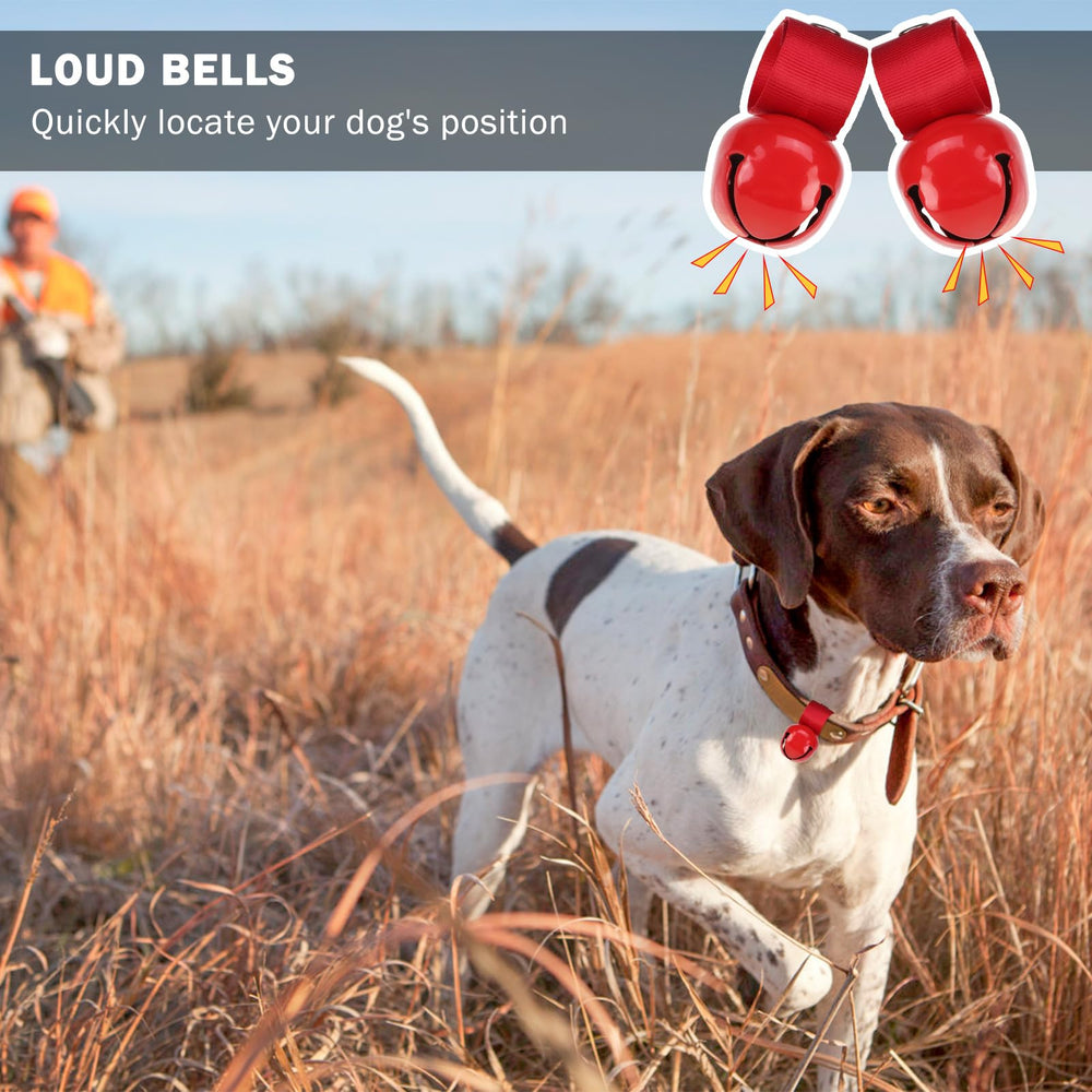 SCENEREAL outdoor-safety use bell helps keep your dog audible during hikes.